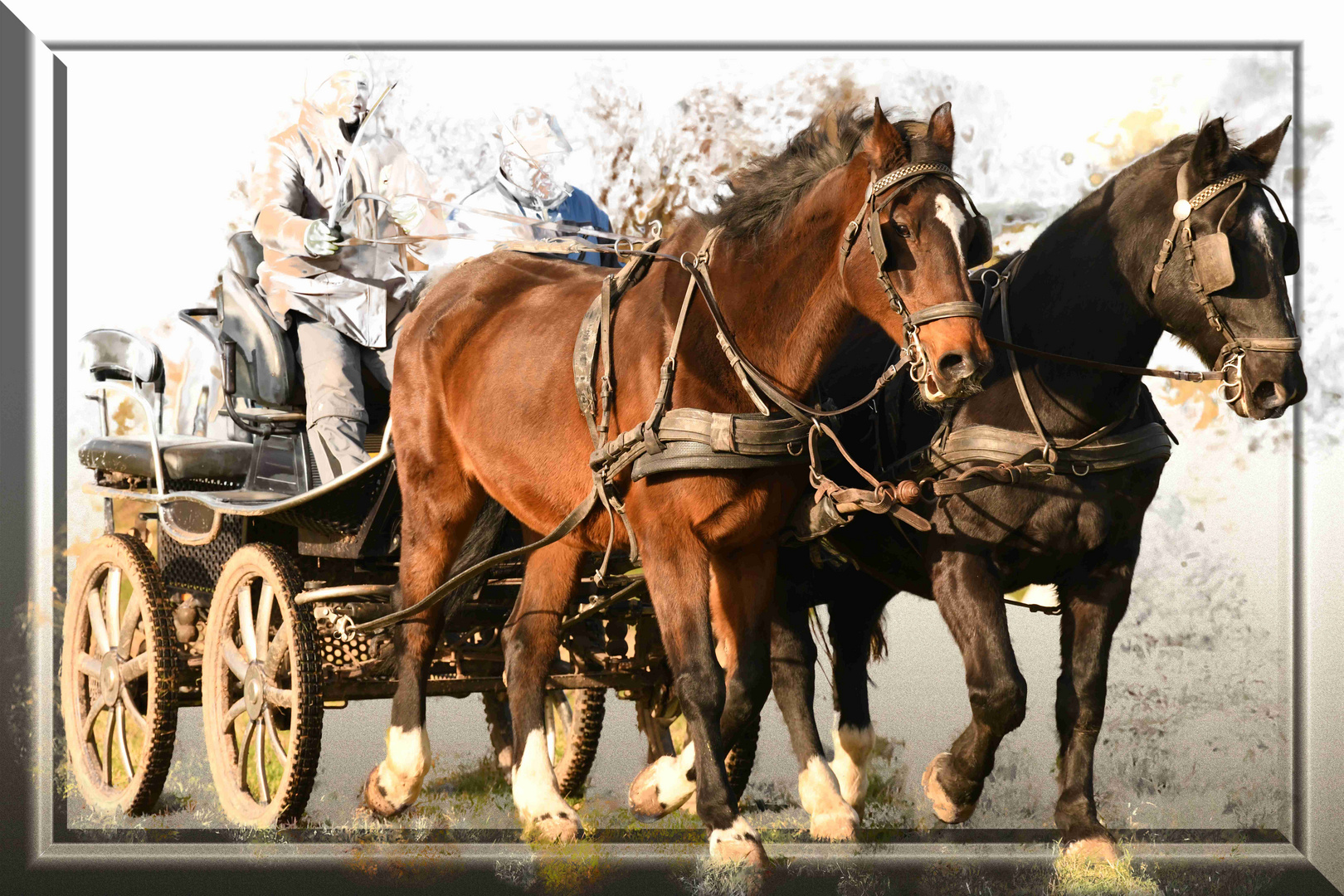 Kutschfahrt in der Wintersonne