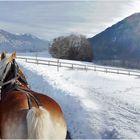 - Kutschfahrt in Tirol - 
