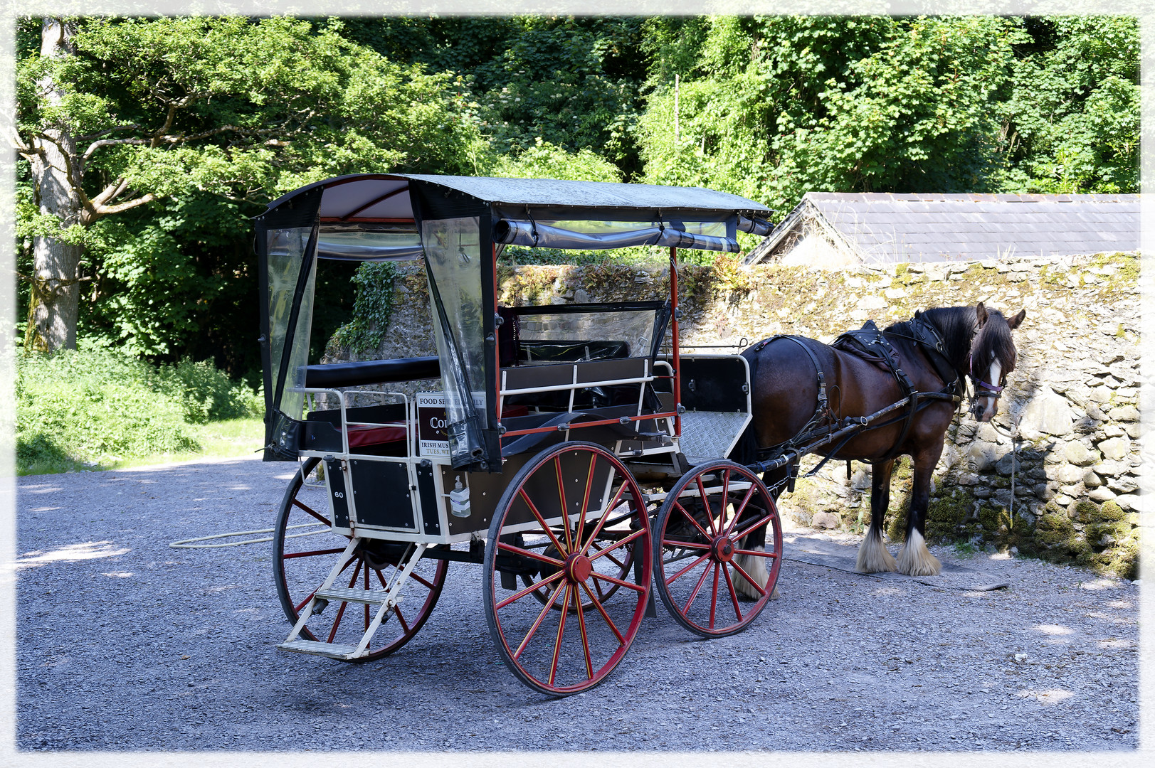 Kutschfahrt nach Muckross Abbey gefällig...