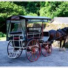 Kutschfahrt nach Muckross Abbey gefällig...