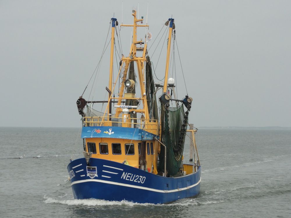 Kutter Foto & Bild fahrzeuge, technikdetails, motive Bilder auf