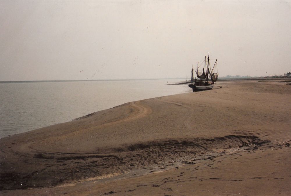 Kutter bei abgeebbten Wasser.