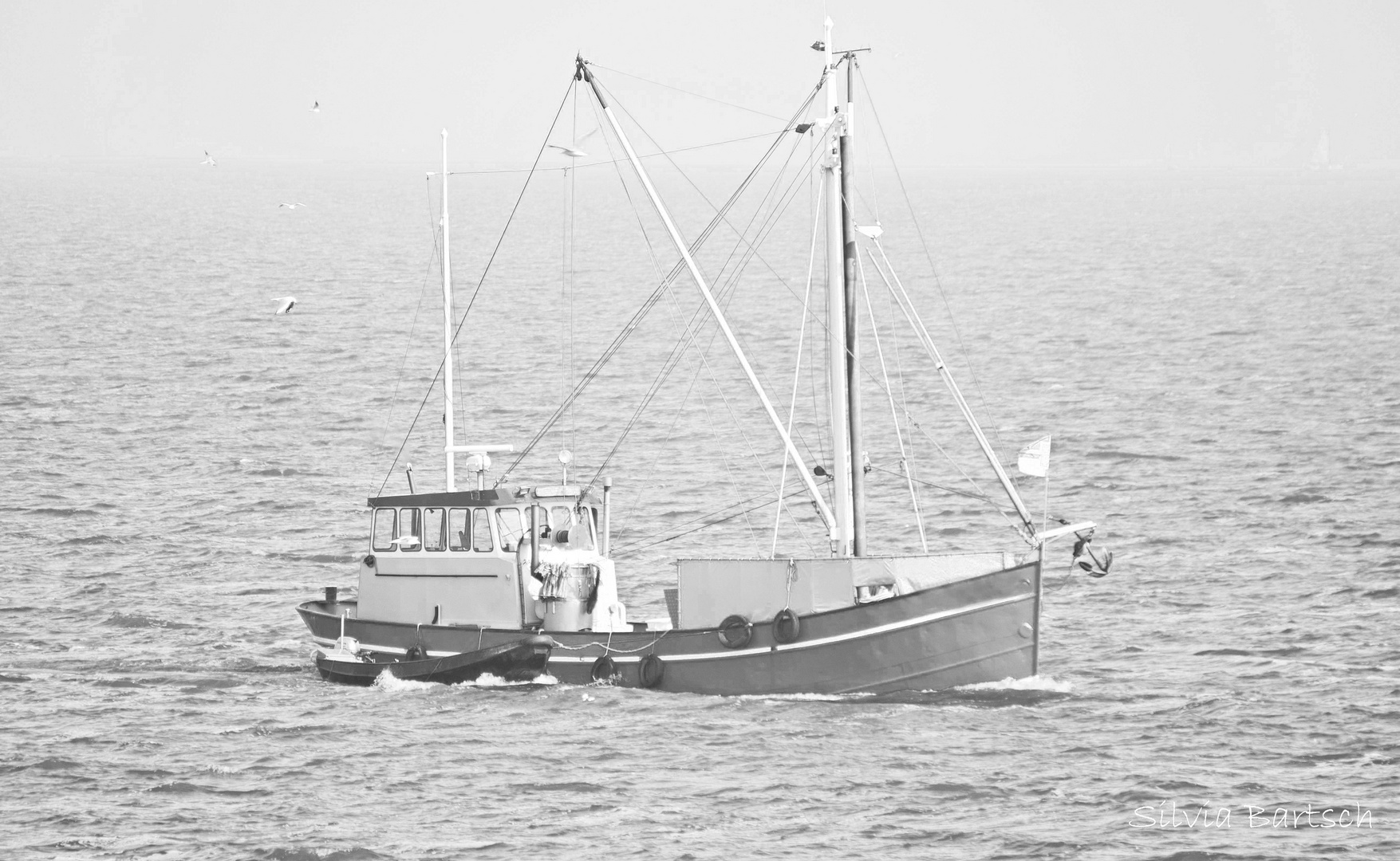 Kutter Foto & Bild | natur, landschaft, meer & strand Bilder auf ...