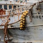 Kutter im Hafen von Busan