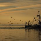 Kutter im Sonnenaufgang vor Norderney