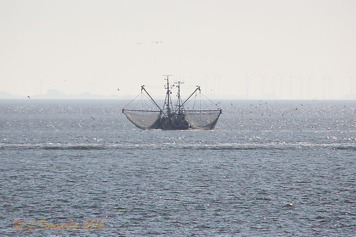 Kutter in Cuxhaven, nähe Hafen "alte Liebe"