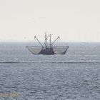 Kutter in Cuxhaven, nähe Hafen "alte Liebe"