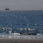 Kutter in der Nordsee St. Peter Ording