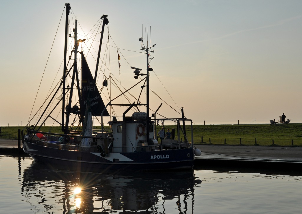 Kutter in Wremer Kutterhafen