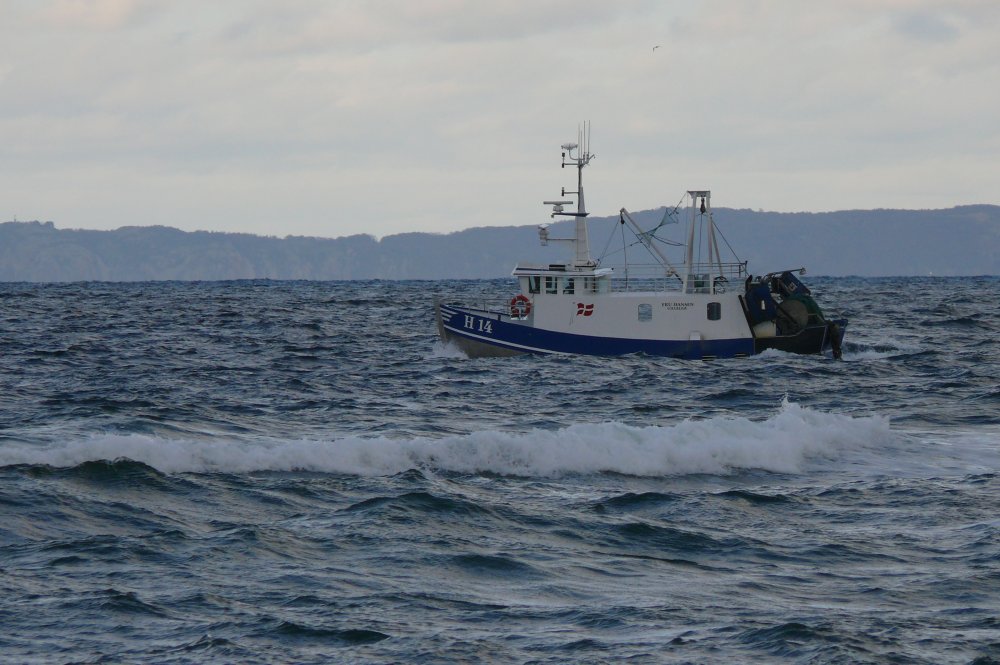 Kutter nahe Gilleleje