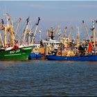 Kutter und Trawler in Lauwersoog/NL 