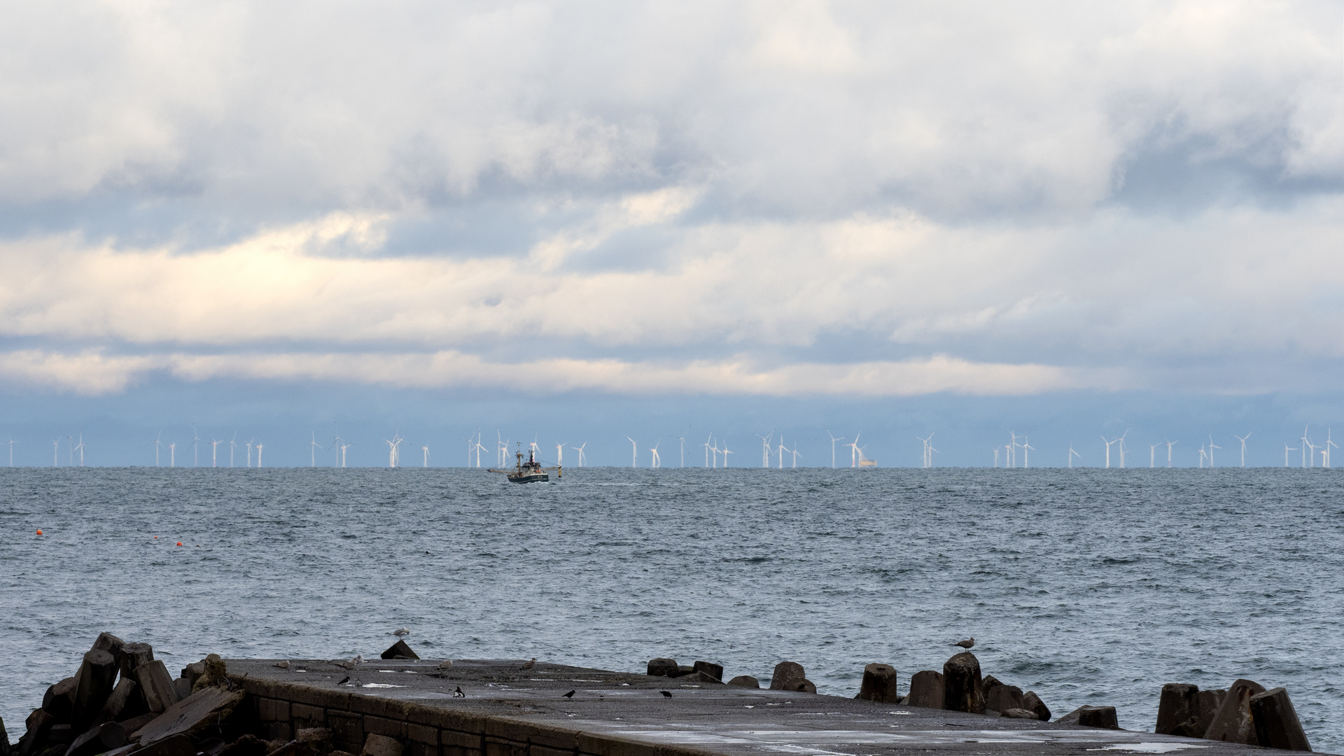 Kutter vor Windpark