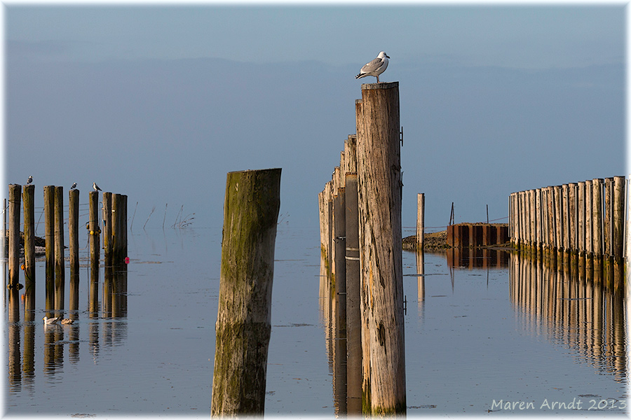 Kutterhafen Dorum