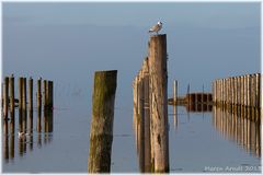 Kutterhafen Dorum