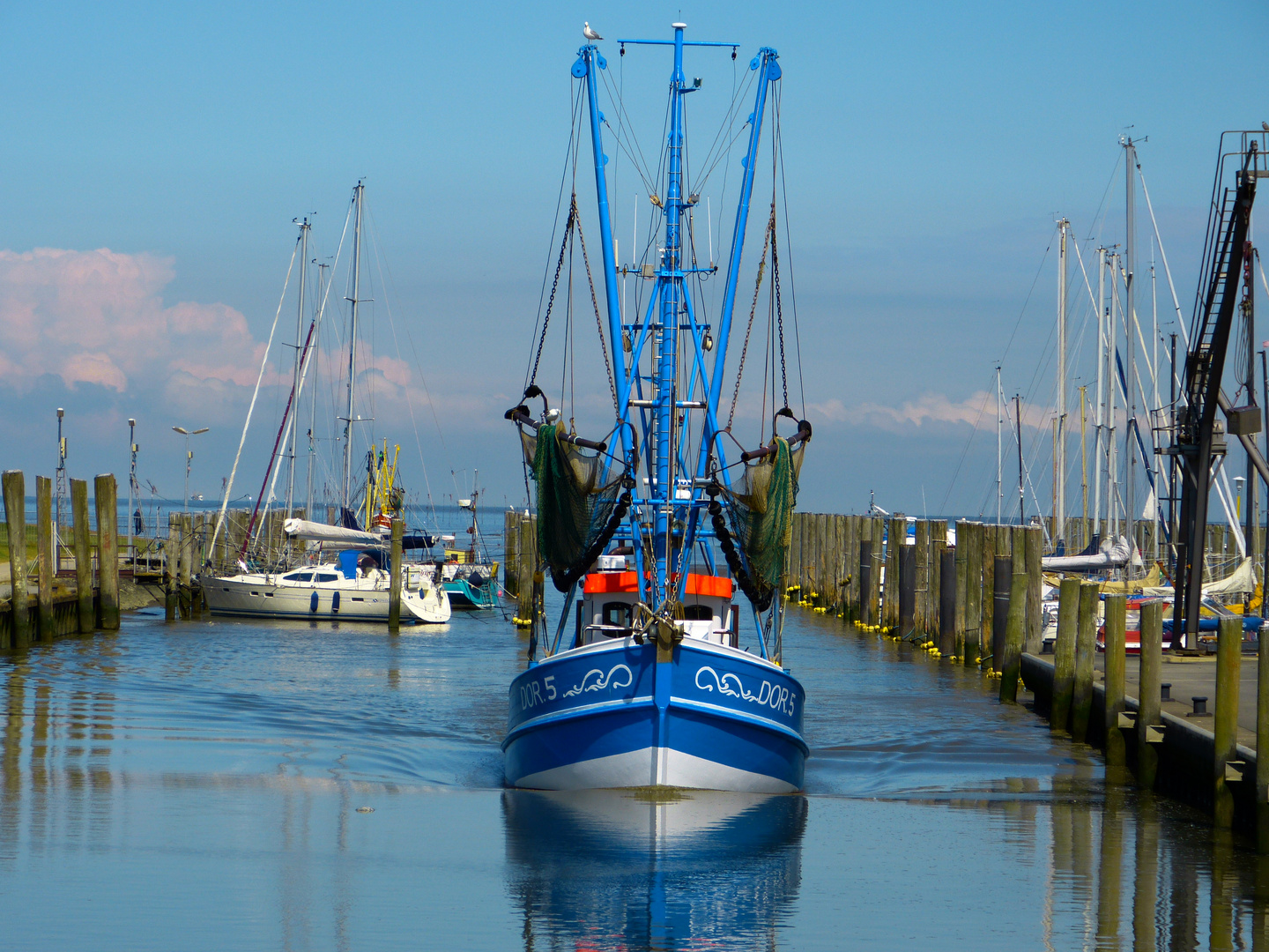 Kutterhafen Dorum Neufeld