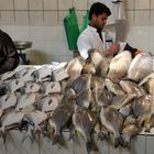 Kuwait Fischmarkt.