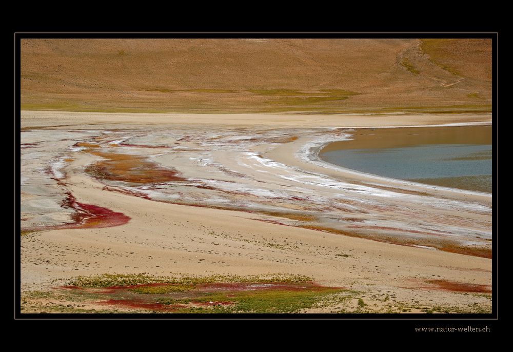 Kyagar Tso