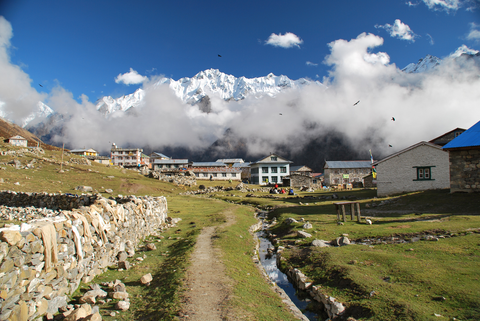 Kyanging Gompa