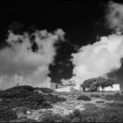 kykladenhäuschen mit wolken sw