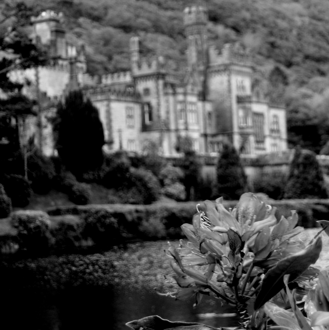 Kylemoore Abbey