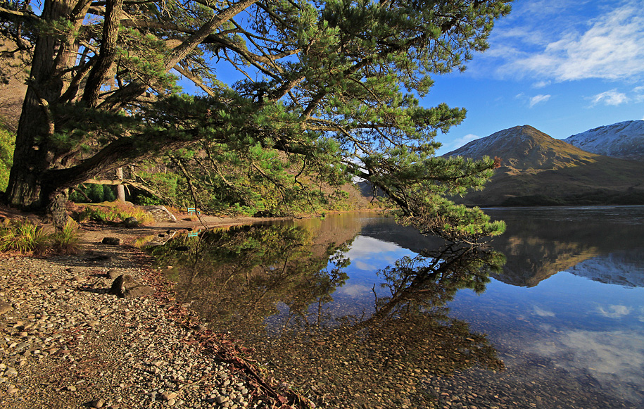 Kylemore Abbey Garden