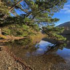 Kylemore Abbey Garden