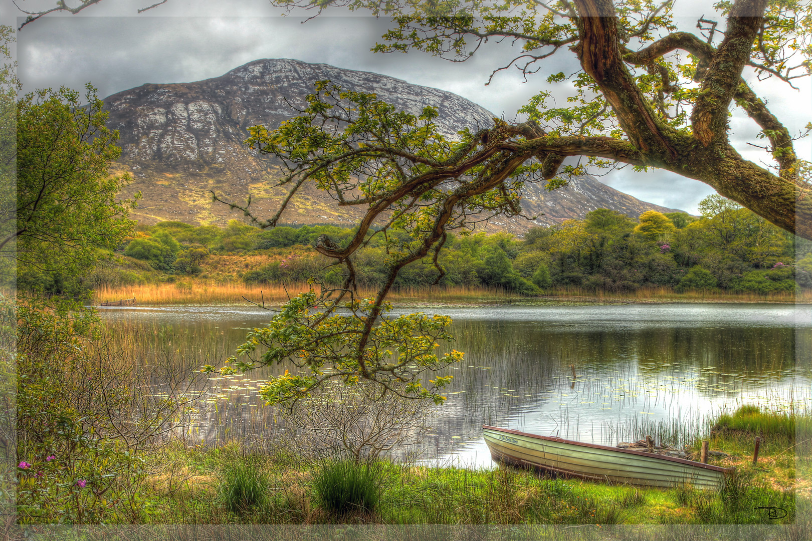 Kylemore Abbey Parc Irland