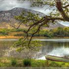 Kylemore Abbey Parc Irland