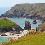 Kynance beach - Land of Cornwall