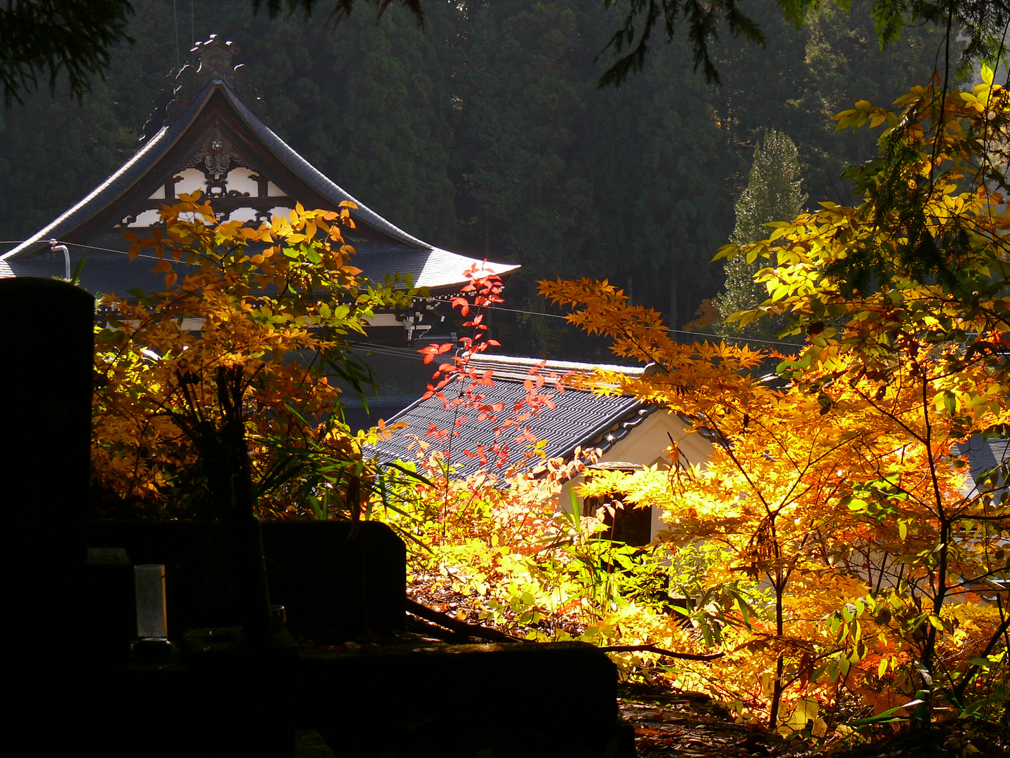 Kyoto