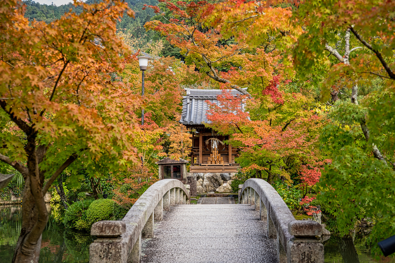 Kyoto