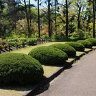 Kyoto Botanischer Garten.