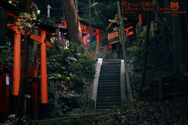 Kyoto Fushimi Inari-Taisha