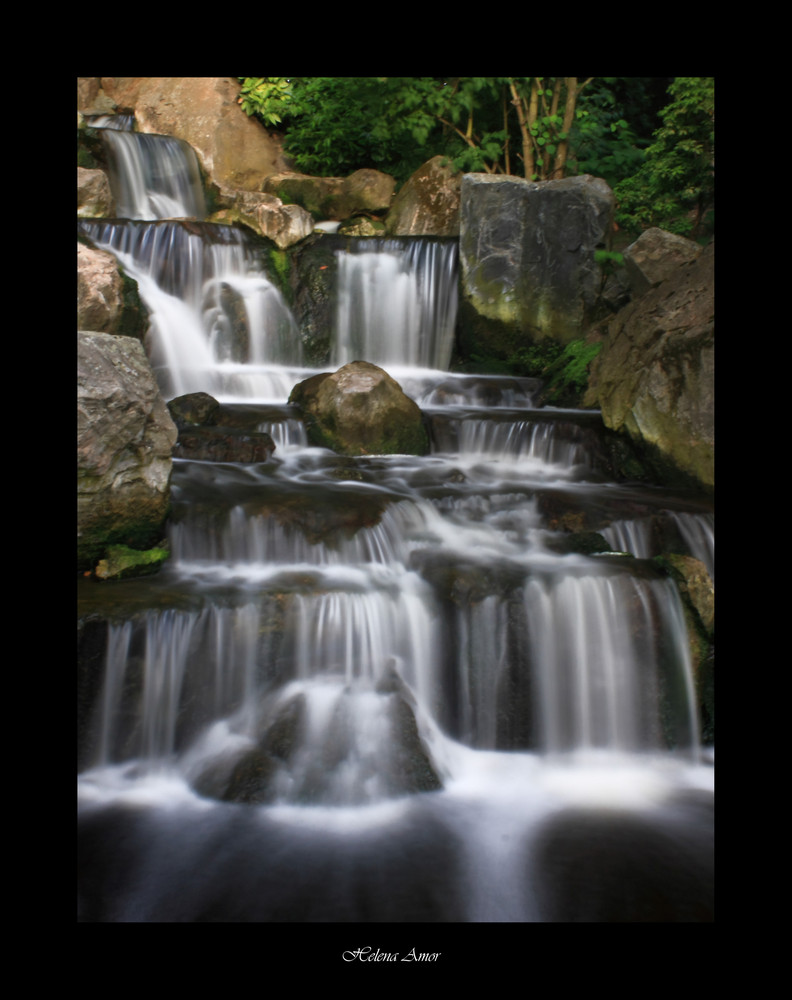 Kyoto garden 5