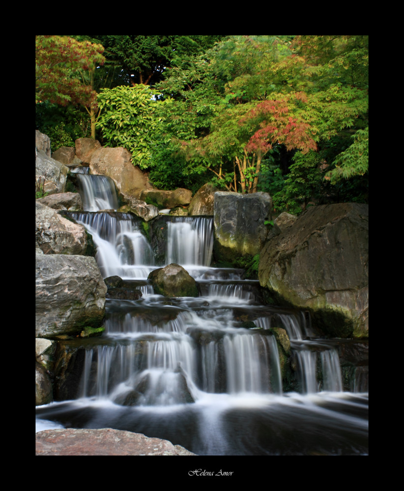 Kyoto garden 7