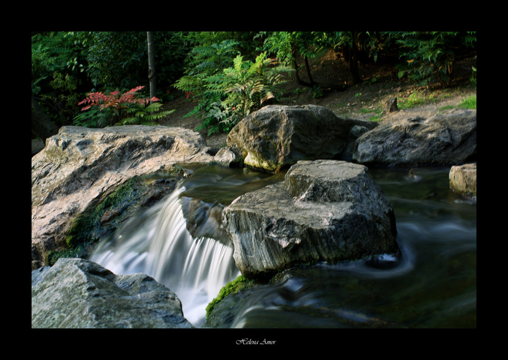 Kyoto garden