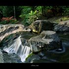 Kyoto garden