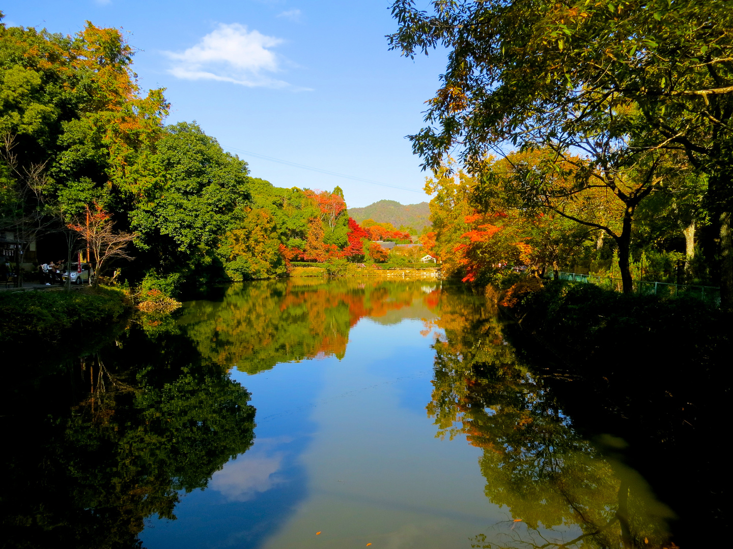 Kyoto II