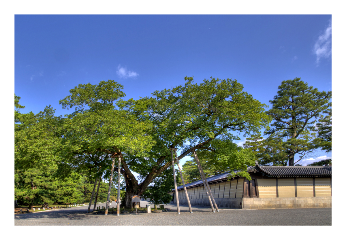 Kyoto Imperial Palace-7