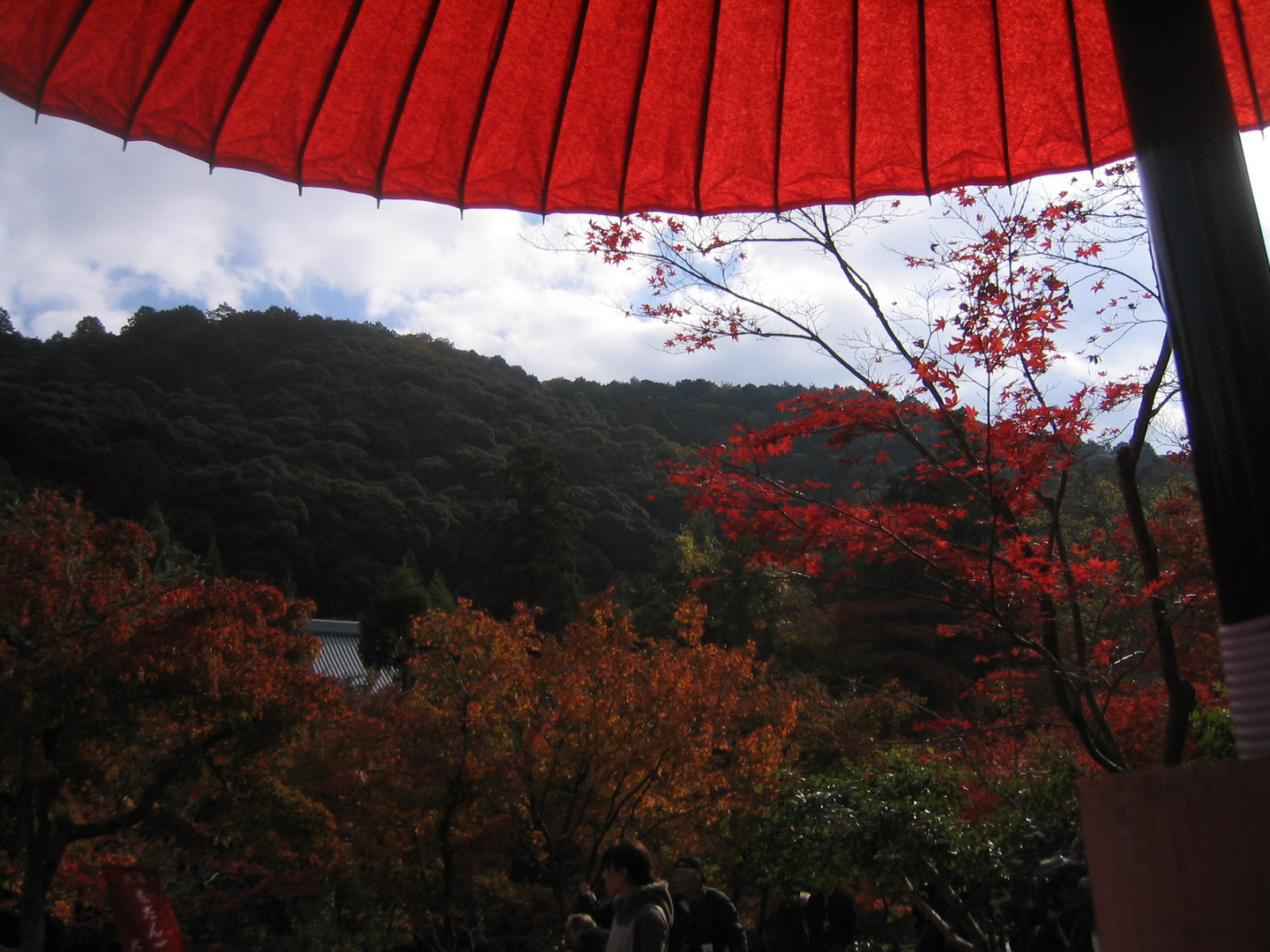 Kyoto - Japan - Beschirmte Ansicht im Herbst