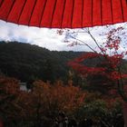 Kyoto - Japan - Beschirmte Ansicht im Herbst