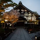 Kyoto Lightscape Spring 2013 - Kodaiji