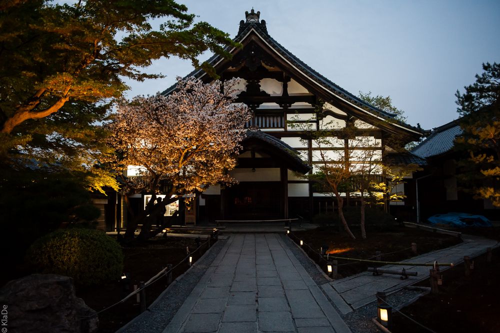 Kyoto Lightscape Spring 2013 - Kodaiji