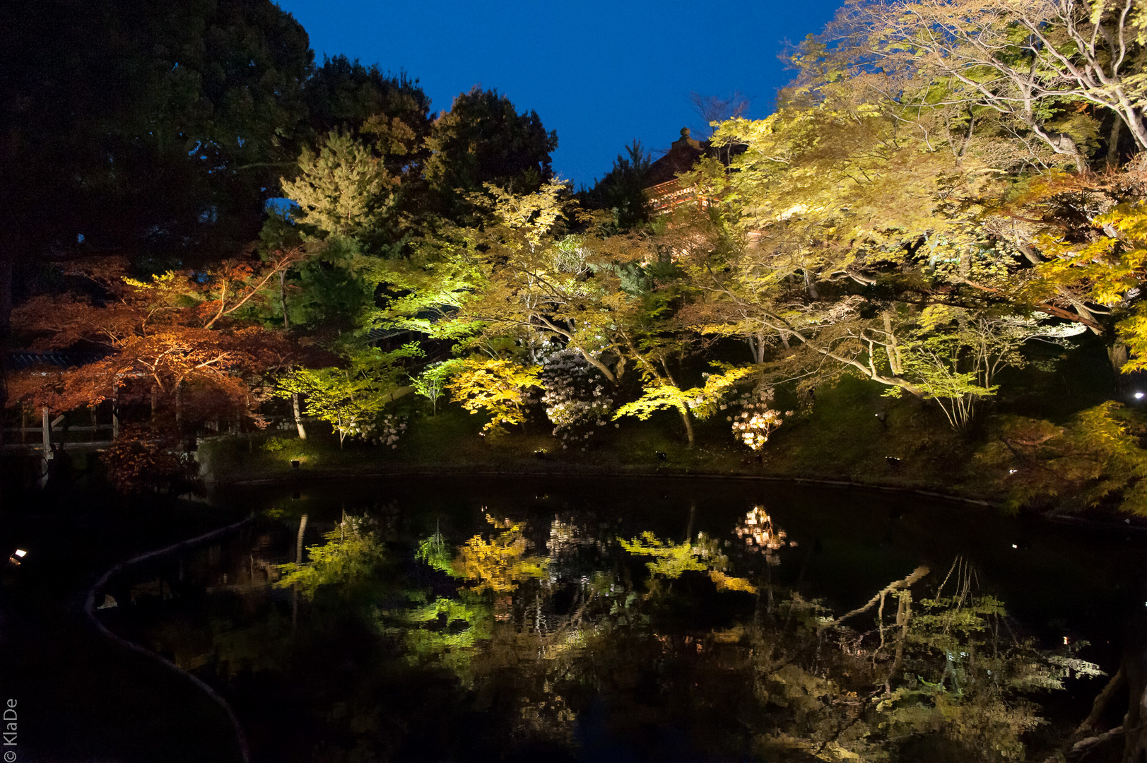 Kyoto Lightscape Spring 2013 - Kodaiji - Teich mit Bäumen