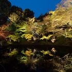 Kyoto Lightscape Spring 2013 - Kodaiji - Teich mit Bäumen