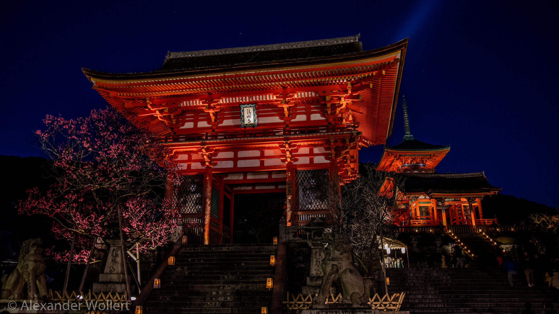 Kyoto Night