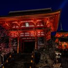 Kyoto Night