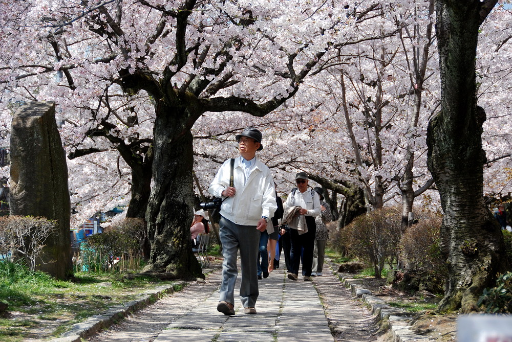 Kyoto - Philosophers Walk