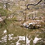 Kyoto: Spiegelungen im See (MW 1997/2 - jq)