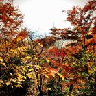 Kyoto Tempel